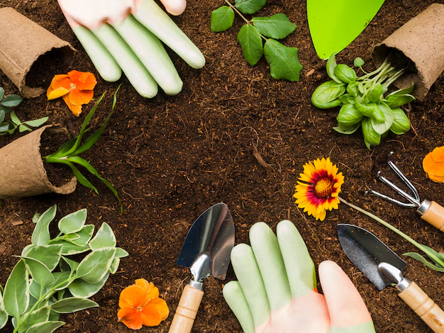 Choosing the Best Hemp Seeds for Optimal Growth with Grow Lights