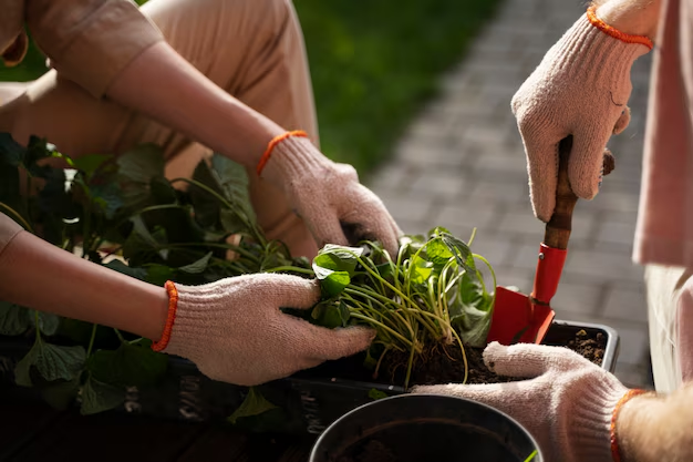 Maximizing Agricultural Yields with Inter-Canopy and Undercanopy LED Grow Lighting Solutions