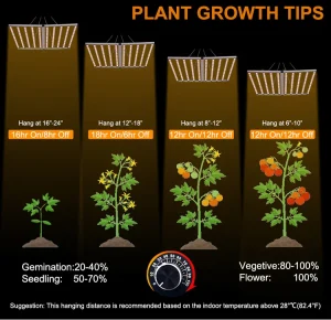 Grow Light System