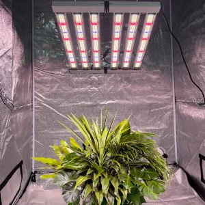 cannabis-grow-light-1