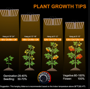 Enhancing Farm Productivity with LED Grow Lights