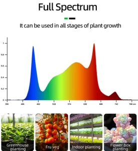 What Are LED Grow Lights
The use of LED grow lights has transformed how we grow plants indoors in areas like hemp farming. This technology imitates sunlight crucial for photosynthesis, in plants and creates a controlled setting to enhance plant growth efficiently. By adopting LED technology growers can enjoy improved energy efficiency. Save costs compared to using conventional lighting systems.
Understanding Full Spectrum Lighting
Full-spectrum lighting will help your plants grow by providing a balanced spectrum of wavelengths so that you mimic the sunshine. These include everything from cool white, warm white, and red to infrared light that is essential for plant growth. Experience the difference with this 1000W Full Spectrum LED Grow Light featuring an original full spectrum design to mimic natural sunlight, allowing for optimal wavelengths to be produced for every stage of plant growth. This guarantees that plants get the proper amount of light that they need for photosynthesis and other physiological processes.
The Role of Light in Photosynthesis
Plants perform photosynthesis to transform energy into chemical energy for their growth and well-being by utilizing different pigments in their leaves that absorb various wavelengths of light like red and blue light crucial for producing chlorophyll and important compounds as revealed by studies in LED grow lights spectrum science.

Why Choose 1000W LED Grow Lights
When choosing to grow lights for your plant's growth needs be sure to consider the power output of the source as it plays a crucial role in supporting healthy plant development through various growth stages. The 1000-watt LED grow light offers intensity to nurture strong and vibrant plant growth throughout their lifecycle.
Energy Efficiency and Cost Effectiveness
The 1000W Single Channel Dimming LED Grow Light is known for its efficiency of. ensuring that your plants get more useful light while using less energy. This level of effectiveness leads to savings in the long run and makes it a top choice for hemp farmers aiming to maximize their profits.
Optimizing Plant Growth Conditions
The 1000-watt LED grow light is created with characteristics that enhance the conditions for growth efficiently. It incorporates heat dissipation technology to prevent overheating and extend the lifespan of your lighting setup. Furthermore, the dimmable function enables cultivators to adjust intensity based on individual cultivation requirements enabling the best possible conditions throughout each phase of the hemp plant growth cycle.
How to use Full Spectrum 1000W LED at different stages of plant growth
To make use of full spectrum 1000-watt LED grow lights it's important to know how different growth stages of plants can benefit from different levels of light intensity and spectra.
Seedling Stage Considerations
At the seedling stage, plants want low to moderate light to build roots not so much that the power overwhelms seedlings. The development of specific models (e.g. 1000W+100W(UV) Foldable Grow Light) is designed to make the precise adjustability without unholstering the unit again, which is a good thing for the sensitive seedlings. This enables seedlings to receive adequate light optimal light without being stressed.​
Vegetative Stage Requirements
During the vegetative stage, you will want to provide plants with more intense light to propagate rapid growth and leaf production. This phase requires high yields which are provided for example in Foldable Dual Channel Dimming 1100w LED Grow Light Models. The lights offer a unique full-spectrum design that enhances PAR output to promote faster vegetative growth.
Flowering Stage Optimization
When plants enter the flowering stage of growth focusing on maximizing yield becomes crucial. Lighting intensity and spectrum control play a role in influencing the quality and quantity of flower production during this phase. The Foldable Dual Channel Dimming 1300 LED Grow Light is designed to provide features specifically aimed at optimizing flowering with its dual channel dimming function.

How to Choose the Right LED Grow Light for Your Needs
Choosing the LED grow light is essential, for maximizing plant growth and guaranteeing a successful cultivation process. Here are some important aspects to keep in mind.
Factors to Consider When Selecting a Grow Light
It is critical to consider the kind of plants or growing environment you have before taking a decision on which grow light to choose. Take into account features such as light intensity, spectrum, energy efficiency, and heat dissipation of the grow light. The 1000W Single Channel Dimming LED Grow Light boasts high efficacy at an incredible 2.9 µmol/J making more useable light available to your plants while reducing energy consumption. This makes it a very efficient option for commercial hemp farmers.
Also, check how adjustable and flexible the light fixture is. Adjustable high-powered grow lights such as 1000W+100W(UV) Foldable Grow Light work great and require no disassembly from one growth stage to another, they can even be adjusted for plant growth at various ages and environmental conditions. For different growth stages, and best suitable for indoor or greenhouse planting environment, models like 1000W+100W(UV) Foldable Grow Light can be easily adjusted without dismantling.
Installation Tips for Maximizing Efficiency
Ensuring LED grow lights are installed correctly is crucial for maximizing their efficiency and effectiveness in plant growth settings. Make sure to place the lights at a height above the plants to provide ideal light coverage without causing any stress or burning. Additionally maintain spacing between the lights to prevent them from overlapping and ensure even distribution of light across the area.
For productivity enhancement purposes try using adjustable settings to regulate light strength based on the unique needs of plants at various growth phases. This personalization gives farmers the flexibility to fine-tune conditions for crop output and quality.
Andyled: Leading Innovations in LED Grow Lighting Solutions
Andyled has been a leader in pioneering LED grow lighting solutions for more than ten years.
Overview of Andyled’s Product Range
Andyled provides a selection of LED grow lights designed for various plant lighting needs including UV Foldable Grow Lights Quantum Board Grow Lights, Plant Tubes and UFO Grow Lights. These lights come with capabilities like dual channel dimming efficient heat dissipation and customizable spectrum options that are perfect for growing hemp indoors.
The company values its ability to offer OEM and ODM services that cover everything from research and design to manufacturing options for customers to customize products according to their brand requirements.
Commitment to Sustainable Agriculture
Andyled is dedicated to advancing farming through energy-efficient lighting solutions that lessen environmental harm and improve crop production outcomes. They employ state-of-the-art technology such as Samsung L3015 Evo diodes to enhance PAR output and plant growth support. This commitment ensures that their offerings play a role in promoting sustainable agricultural practices globally.
FAQ
Q: Is a 1000W full-spectrum LED grow light suitable for all plant growth stages?
A: Definitely! A 1000-watt full-spectrum LED grow light is crafted to deliver the light wavelengths needed for all stages of plant growth from seedling to flowering. Its versatile features make it a breeze to adjust for growth phases.
Q: How much electricity does a 1000W LED grow light consume?
A: They are very efficient lights (2.9 µmol/J, for instance) that run on lower wattages but are marketed with a 1000W label. It consumes less power compared to conventional lighting systems while providing better performance. Leading in performance, it gives lower electricity costs as compared to all traditional lighting systems.
Q: What is the ideal hanging height for a 1000W LED grow light?
A: The optimum height for your plants to hang them at depends on variables like the plant type and growth stage. Typically in the 18 to 24 inches canopy height range throughout vegetative growth and a bit higher for flowering stages so that intensity can be fine-tuned using dimming controls when needed.
Q: Can a 1000W LED grow light replace natural sunlight for indoor plants?
A: Yes, a 1000-watt full-spectrum LED grow light can replicate the benefit of sunlight by offering a proper blend of wavelengths that are important to plants in every phase of development. Thus, it is an extremely apt substitute choice for where direct sunlight exposure is not available.
Q: How long do 1000W full-spectrum LED grow lights last?
A: They are long-lasting because of their robust construction materials and effective temperature control systems. They usually last for years under normal conditions supported by warranties that guarantee long-term performance