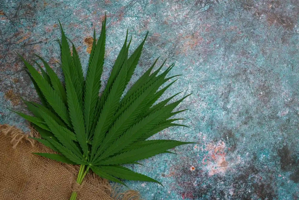 marijuana grow lihgt