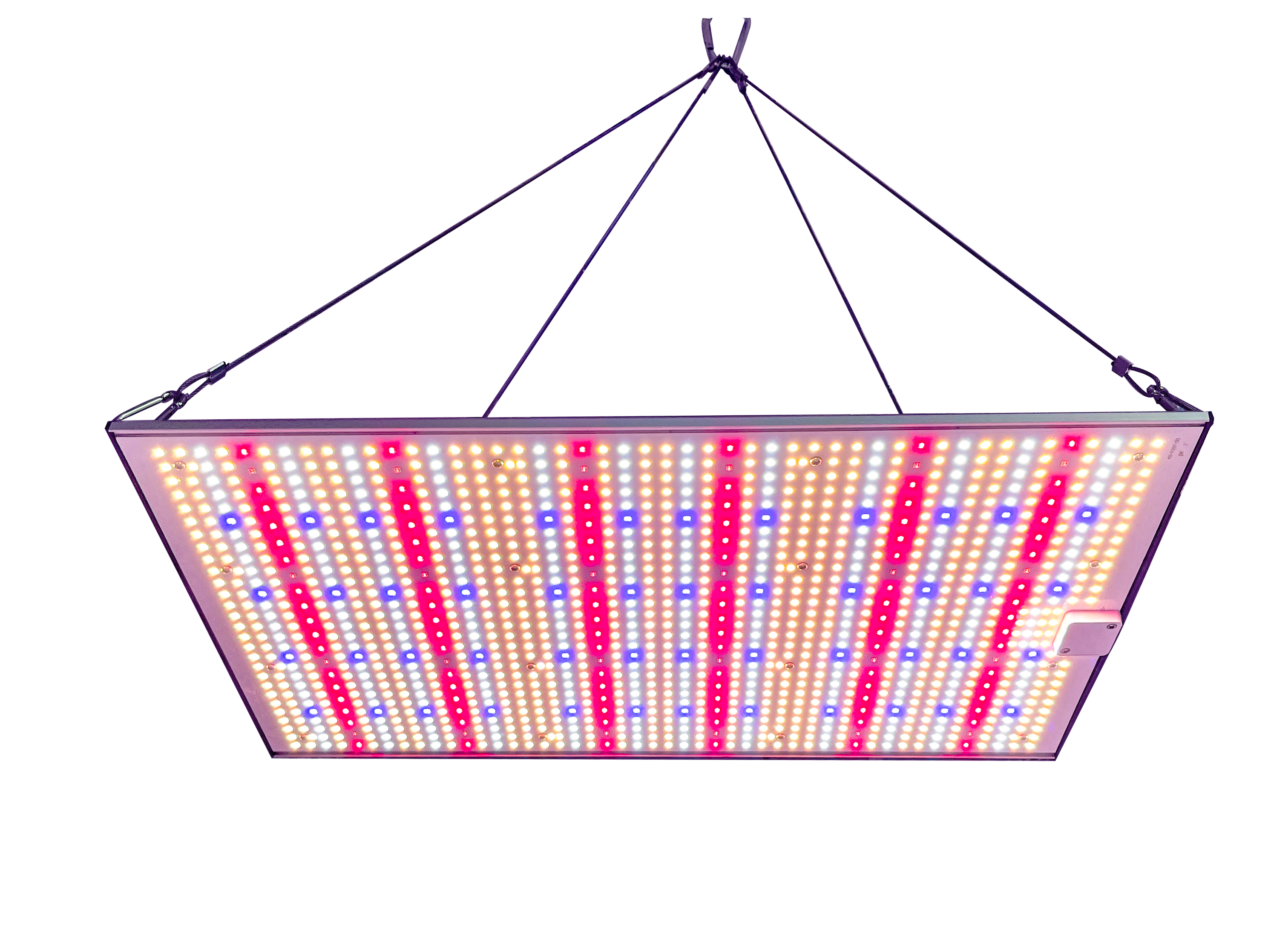 Cut Long-Term Operating Costs in Your Grow Facility with LED Grow