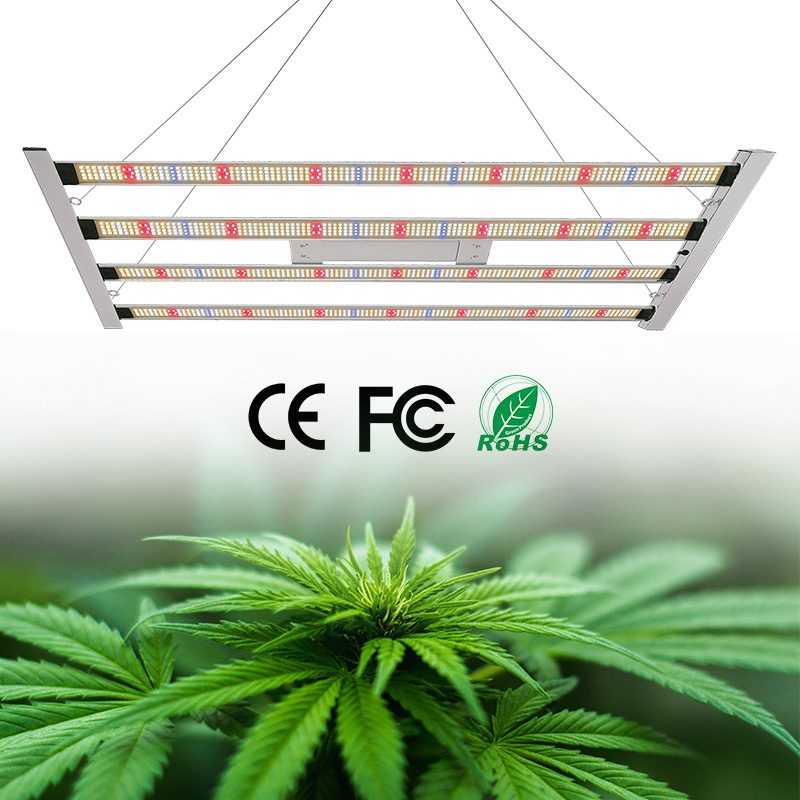 LED Light View