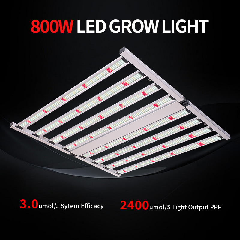 LED Light View