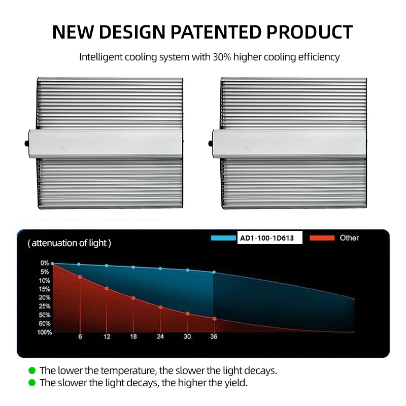 LED Light View