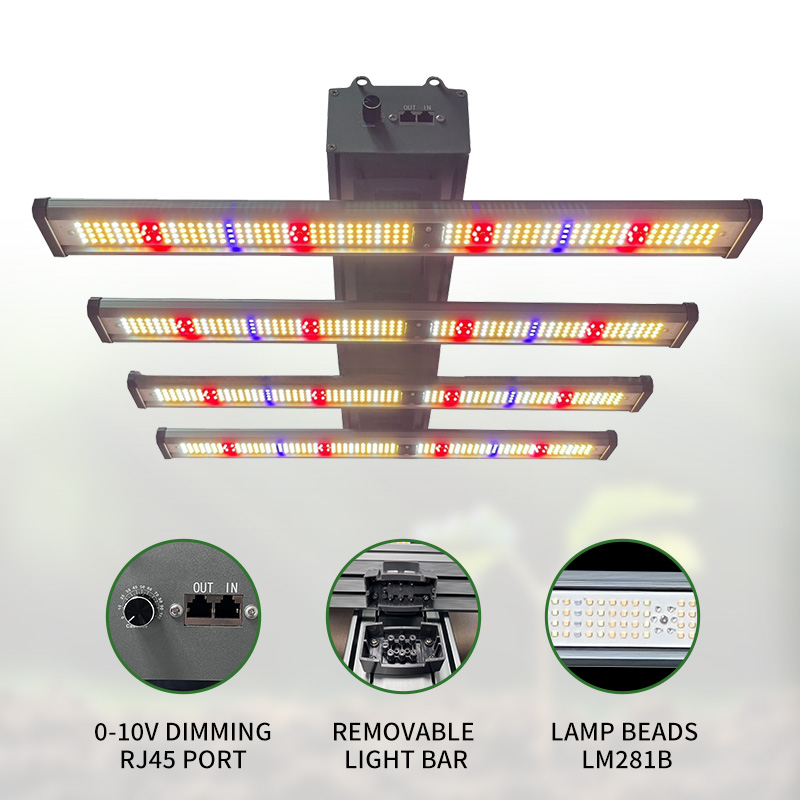 LED Light View