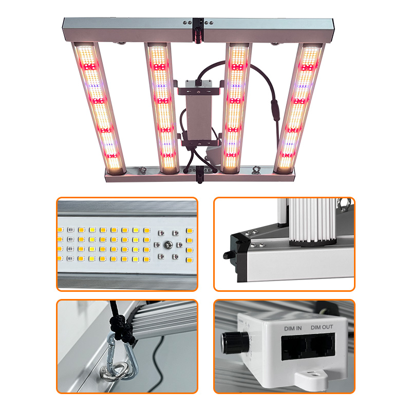 LED Light View