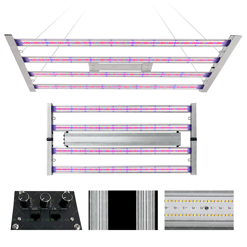 LED Light View