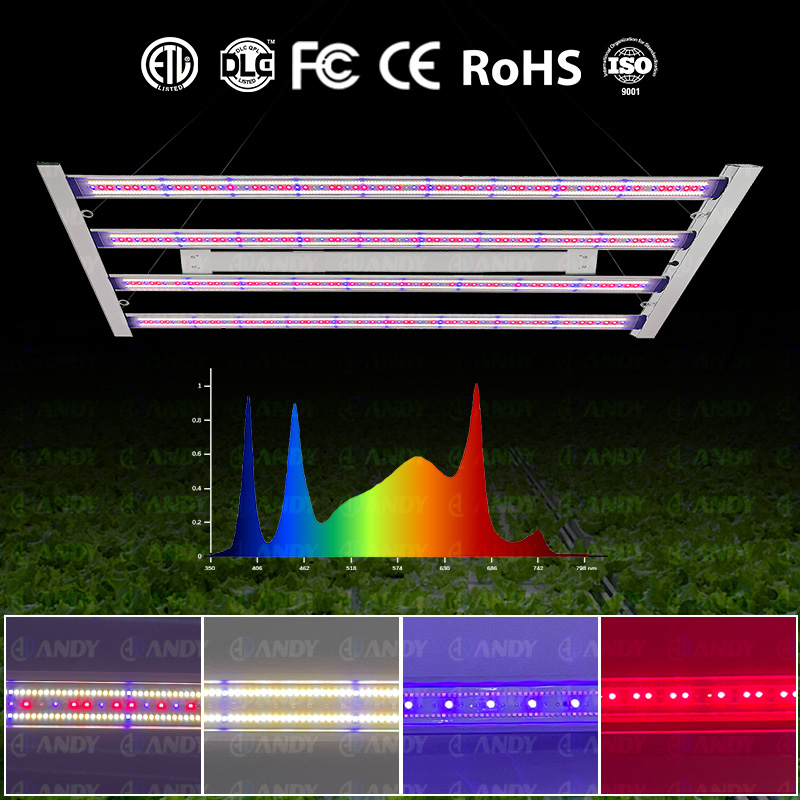 LED Light View