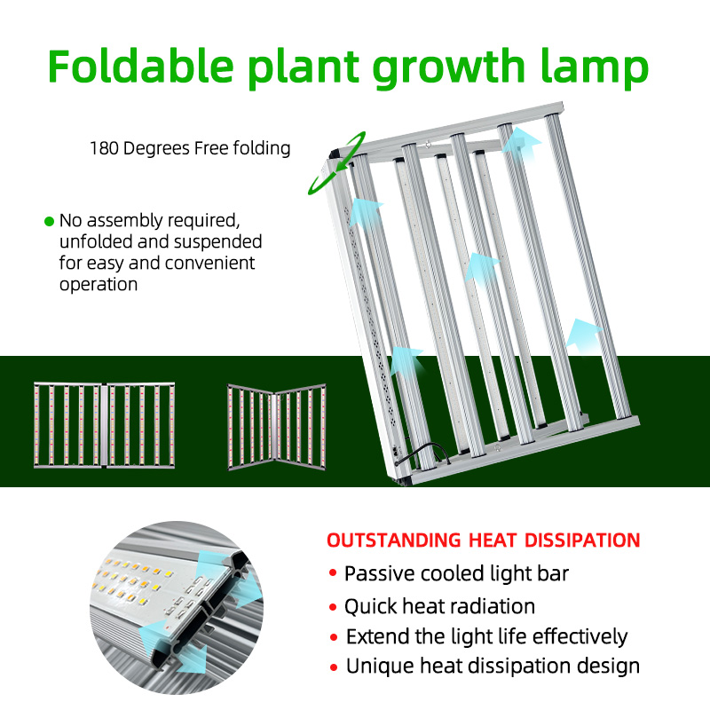 LED Light View