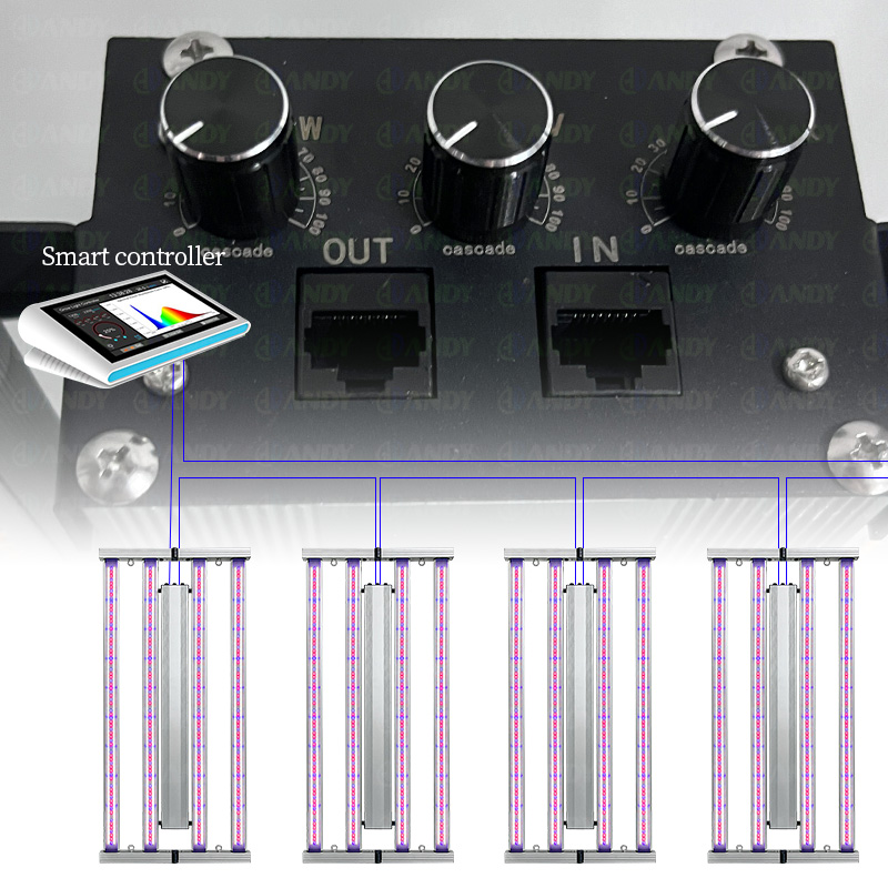 LED Light View