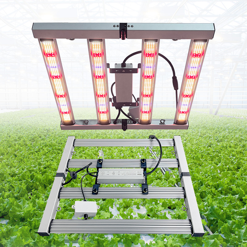 LED Light View