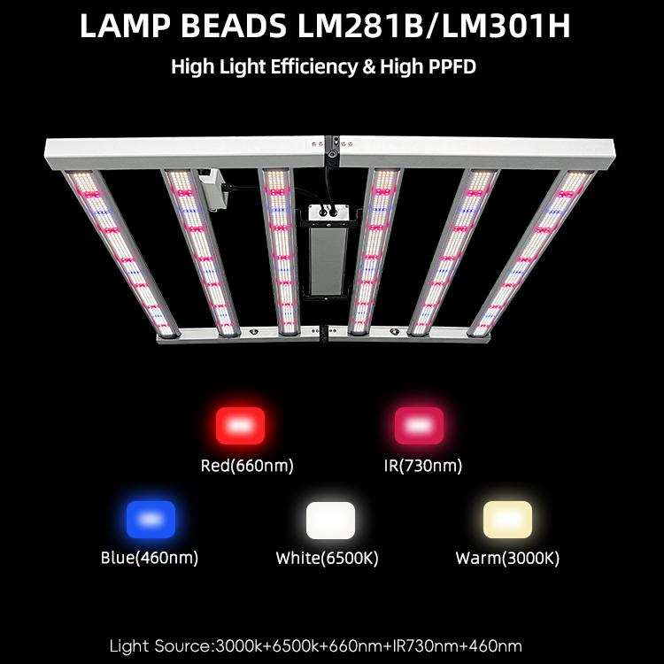 LED Light View