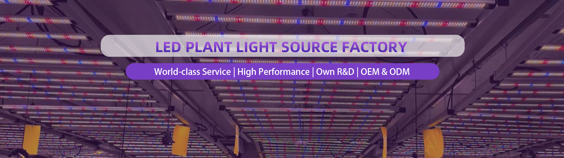 Cultivation Grow Light Manufacturer