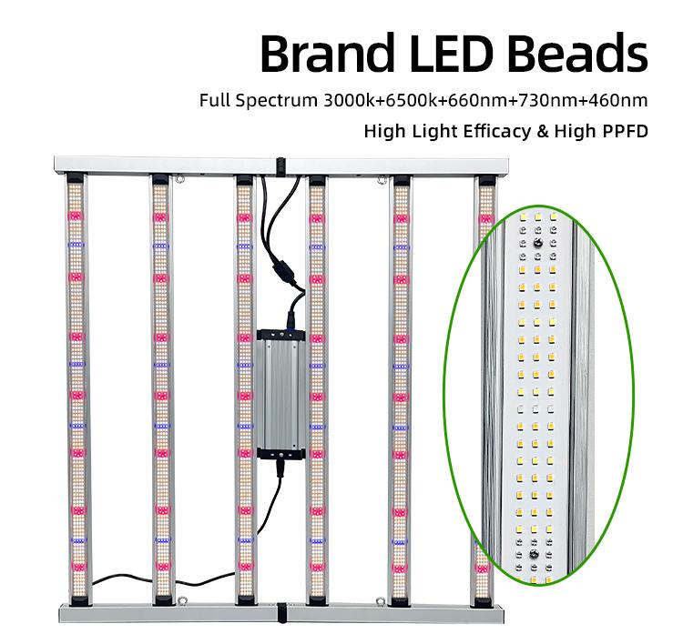 LED Light View
