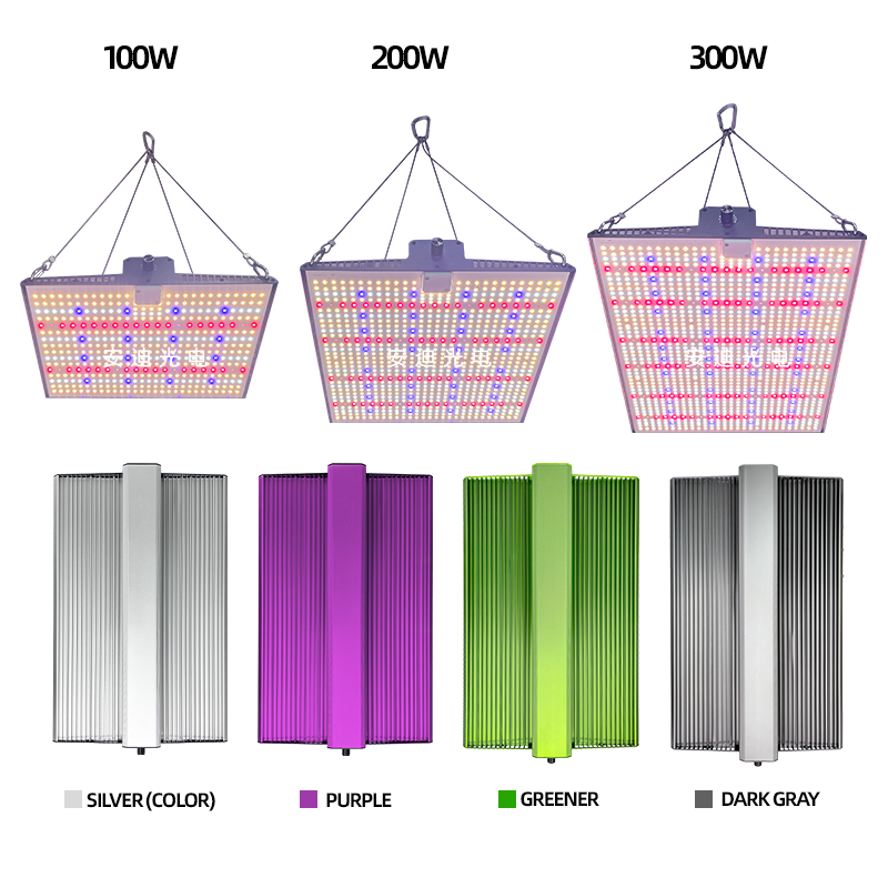 LED Light View