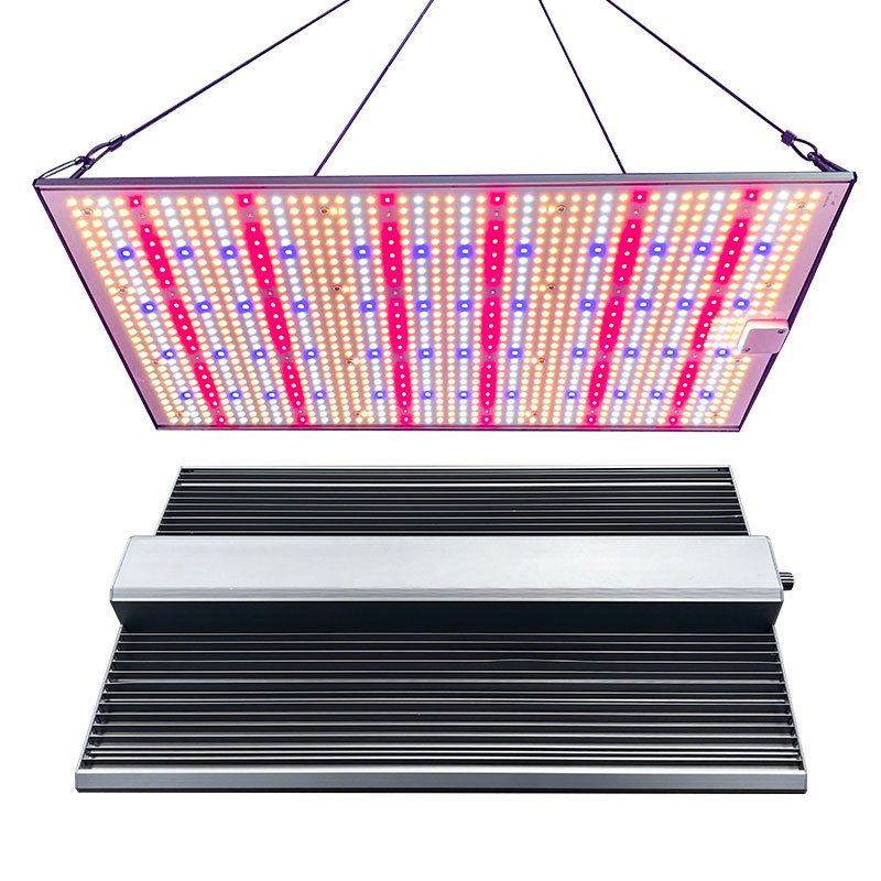 LED Light View