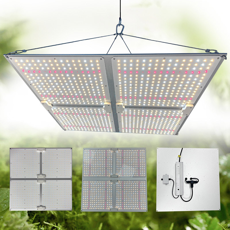 LED Light View
