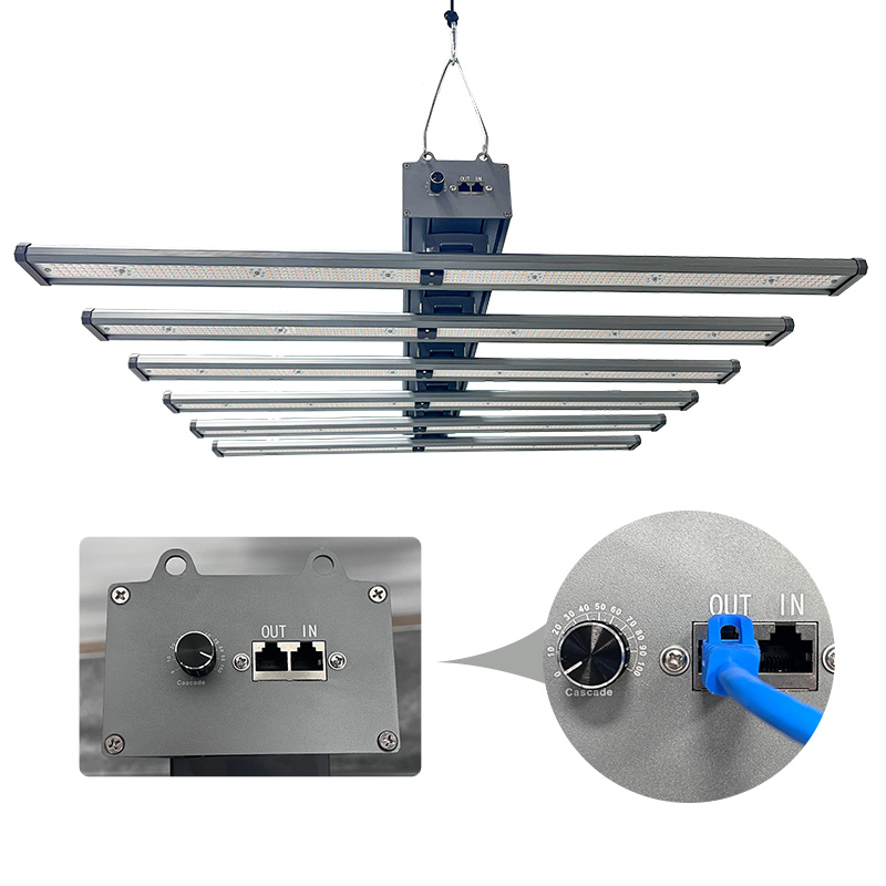 LED Light View