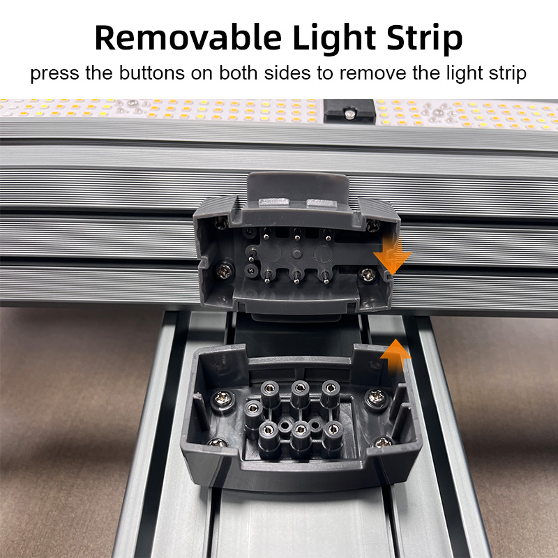 LED Light View