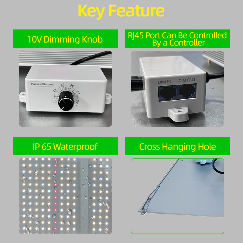LED Light View