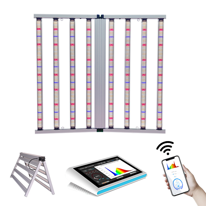 LED Light View