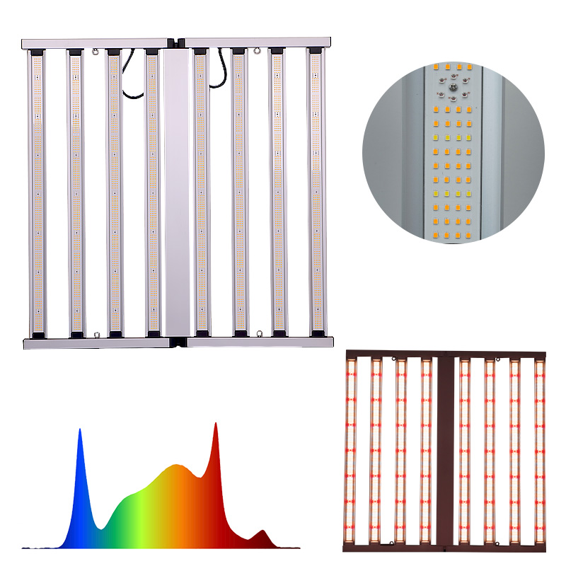 LED Light View