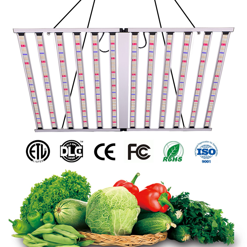 LED Light View