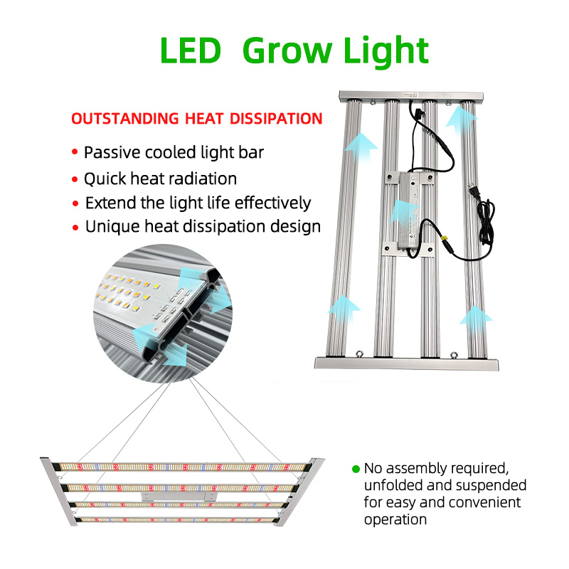 LED Light View