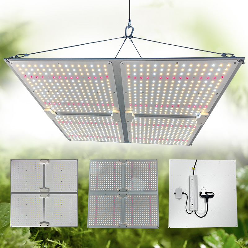 LED Light View