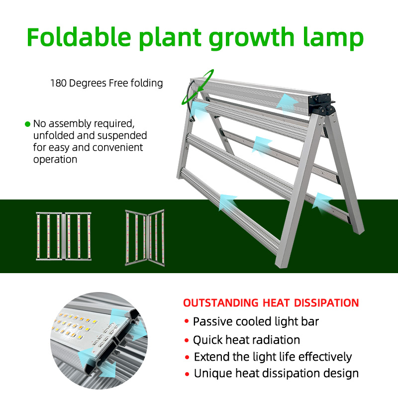 LED Light View