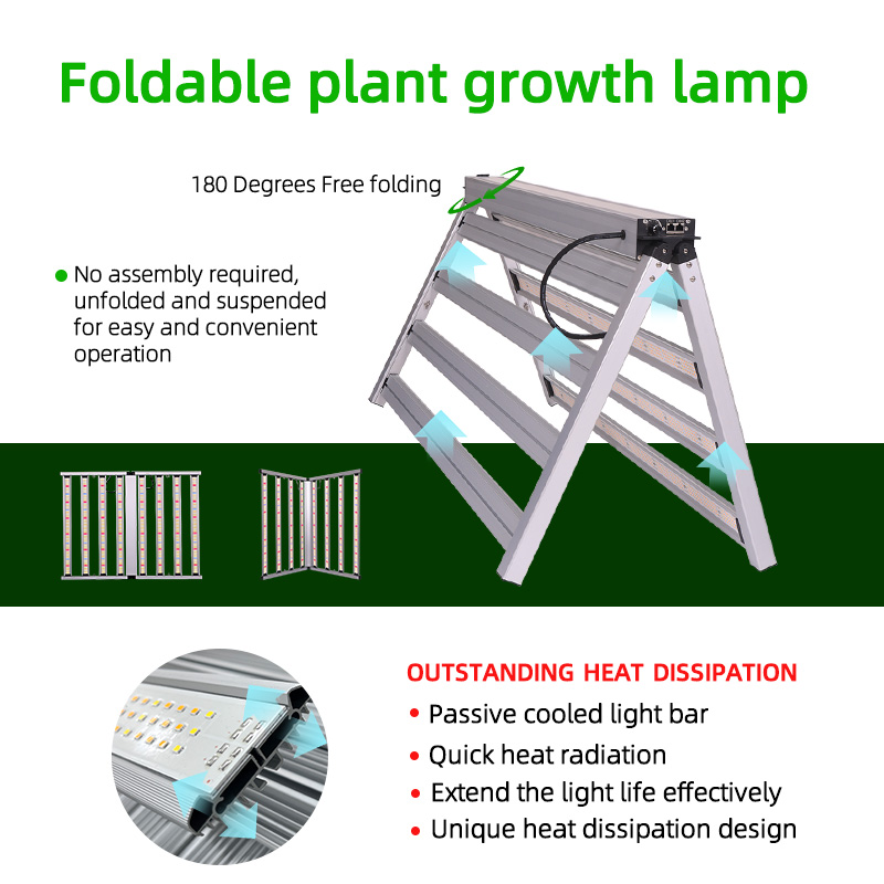 LED Light View