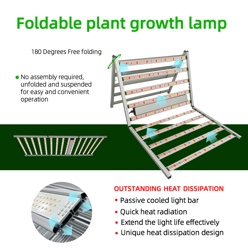 LED Light View