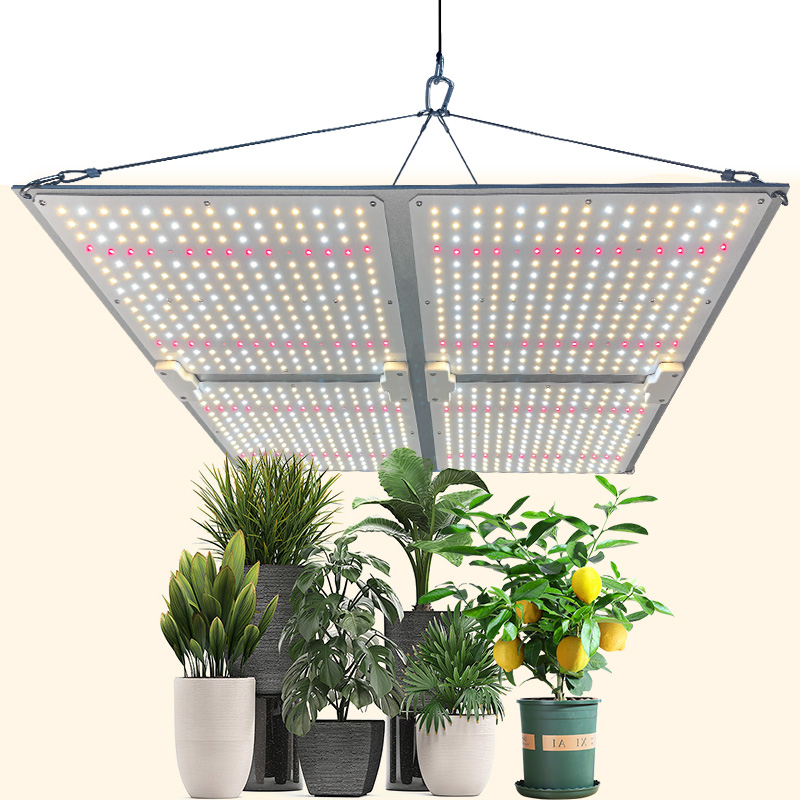 LED Light View