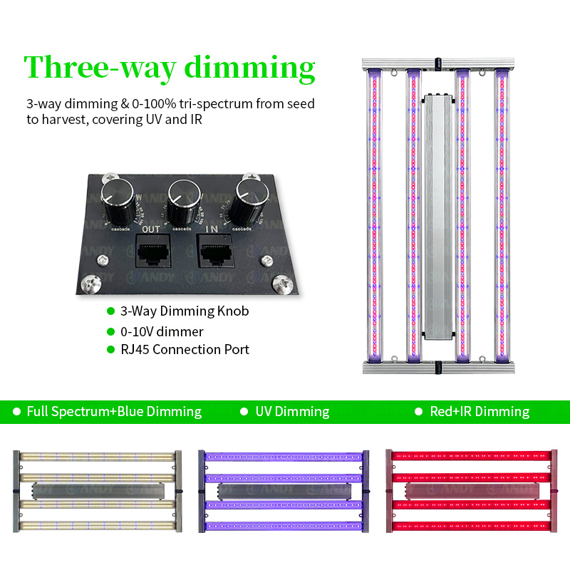 LED Light View