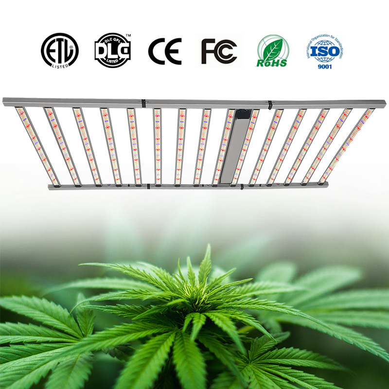LED Light View