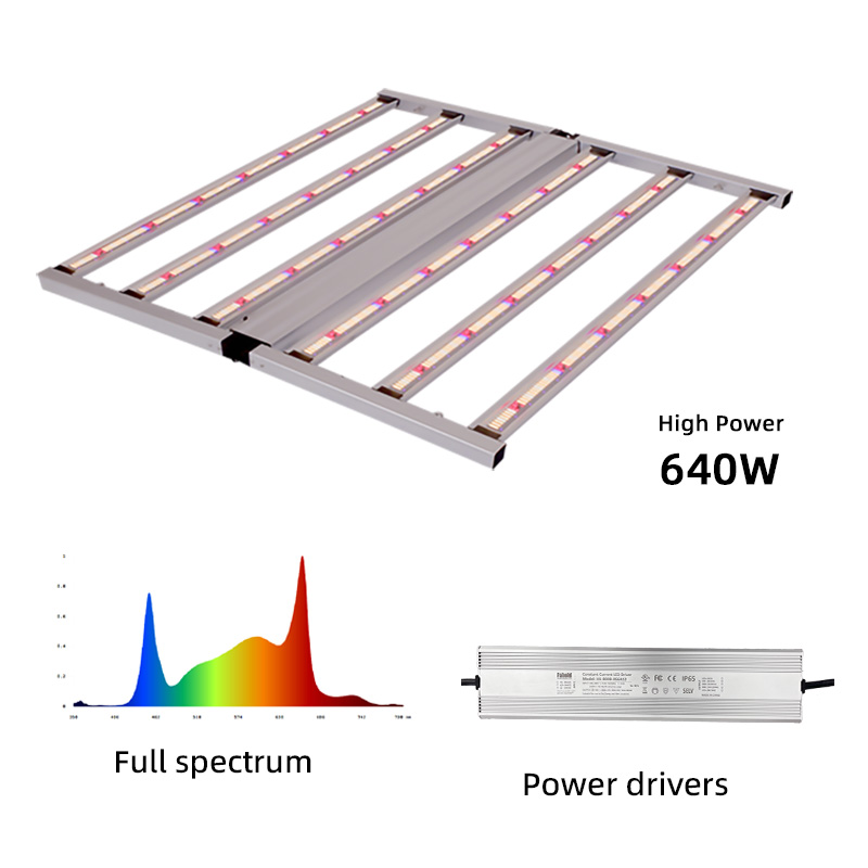 LED Light View