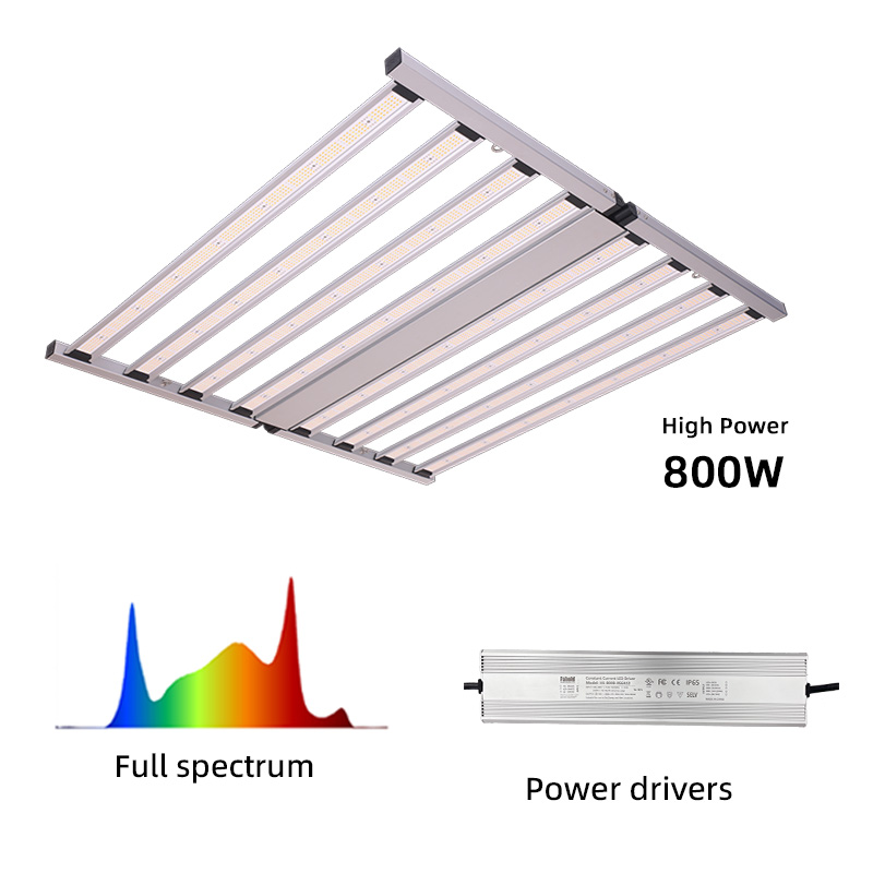 LED Light View