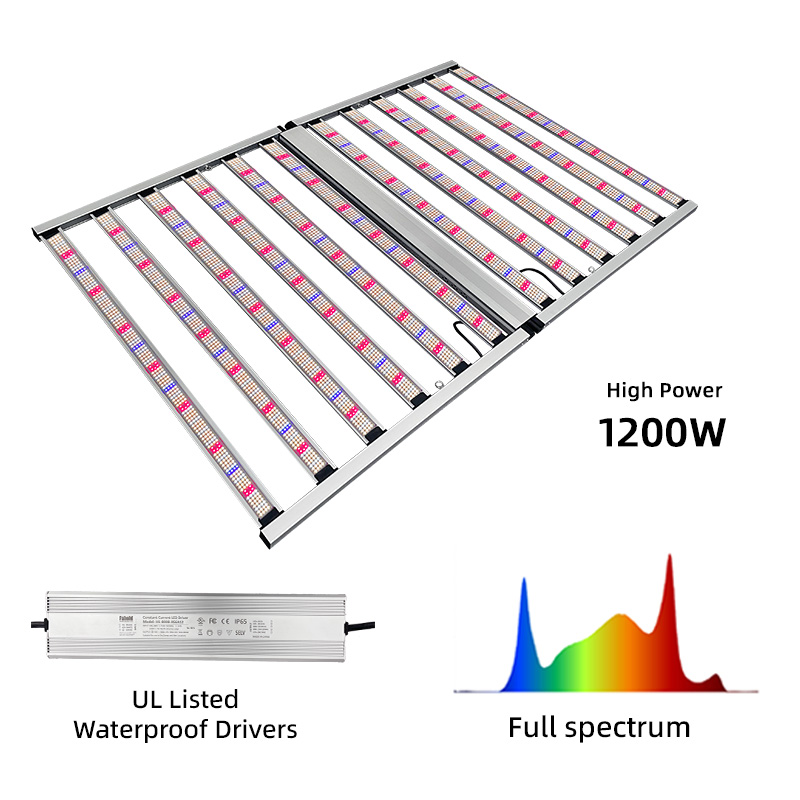 LED Light View