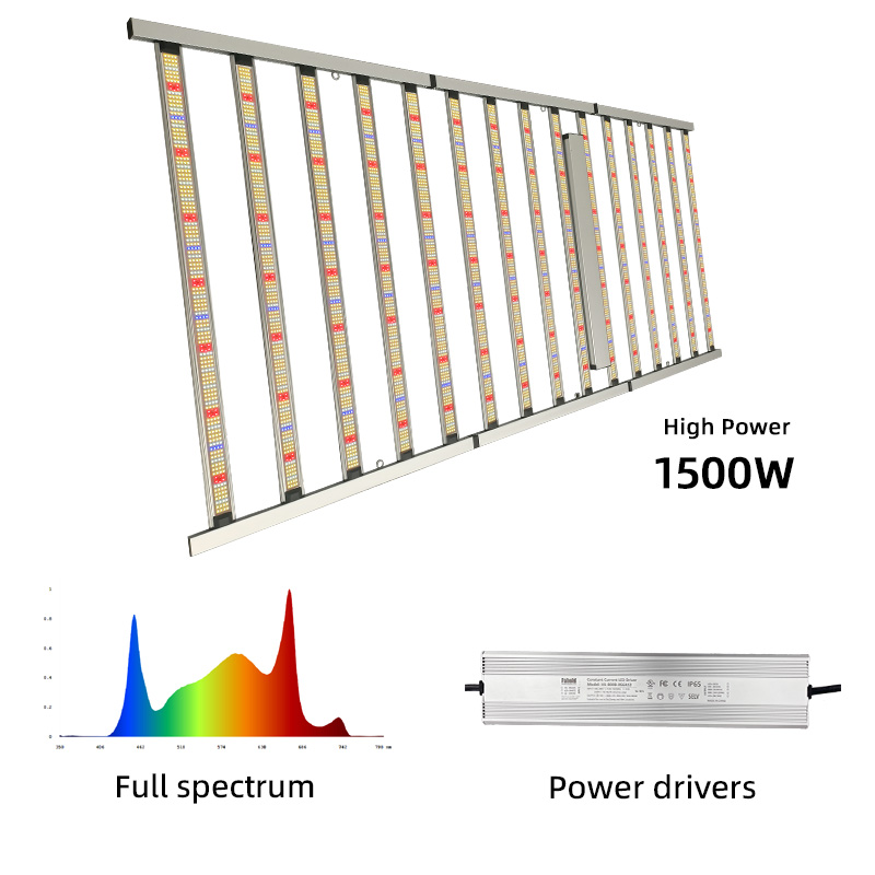 LED Light View