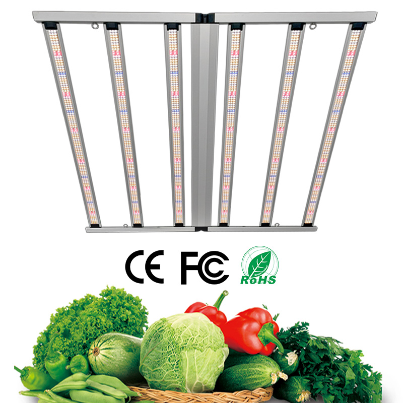 LED Light View