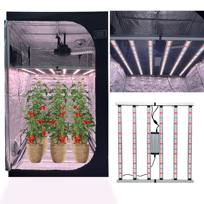 LED Light View