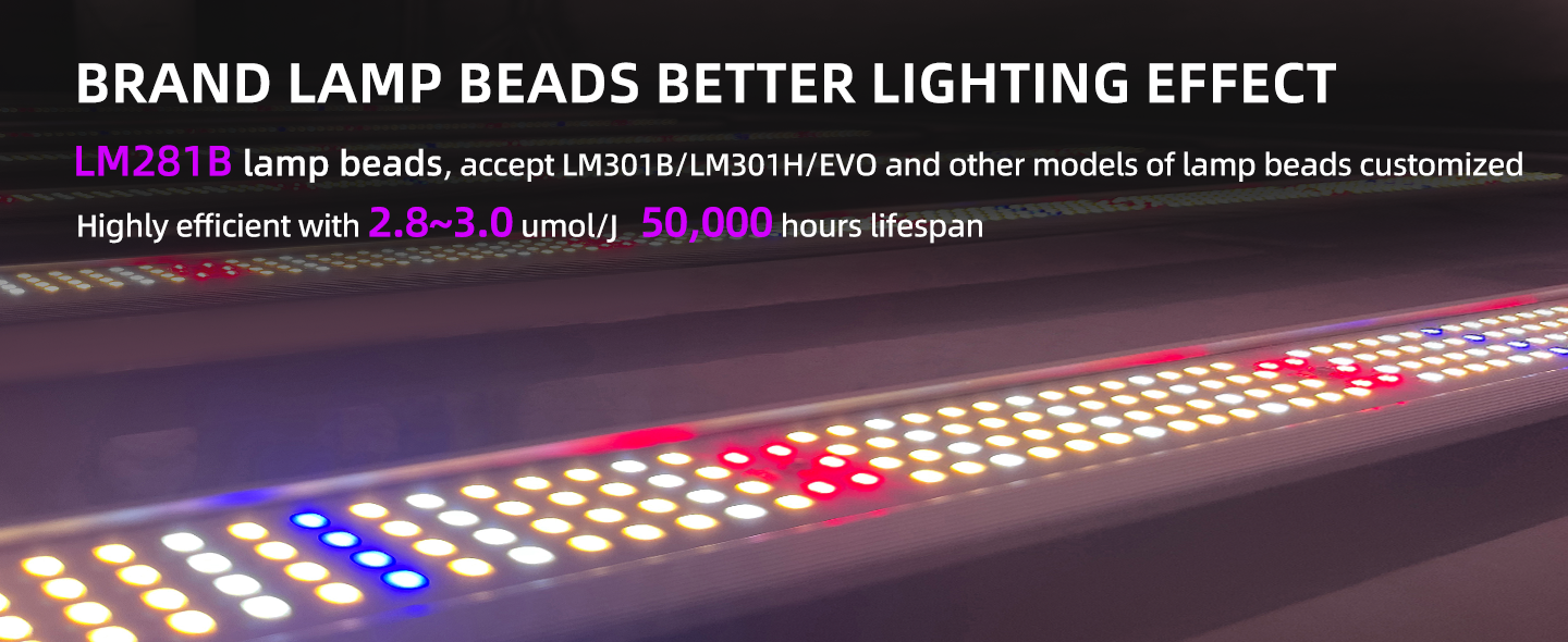 800W 4x4ft LED Grow Lights-AD8-800W-2C2-110