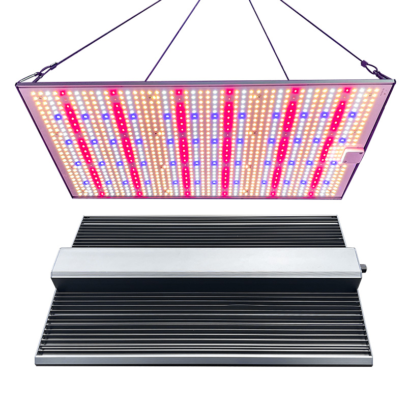 LED Light View