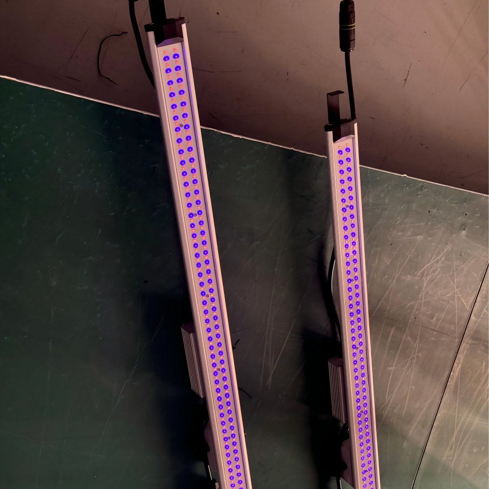 LED Light View