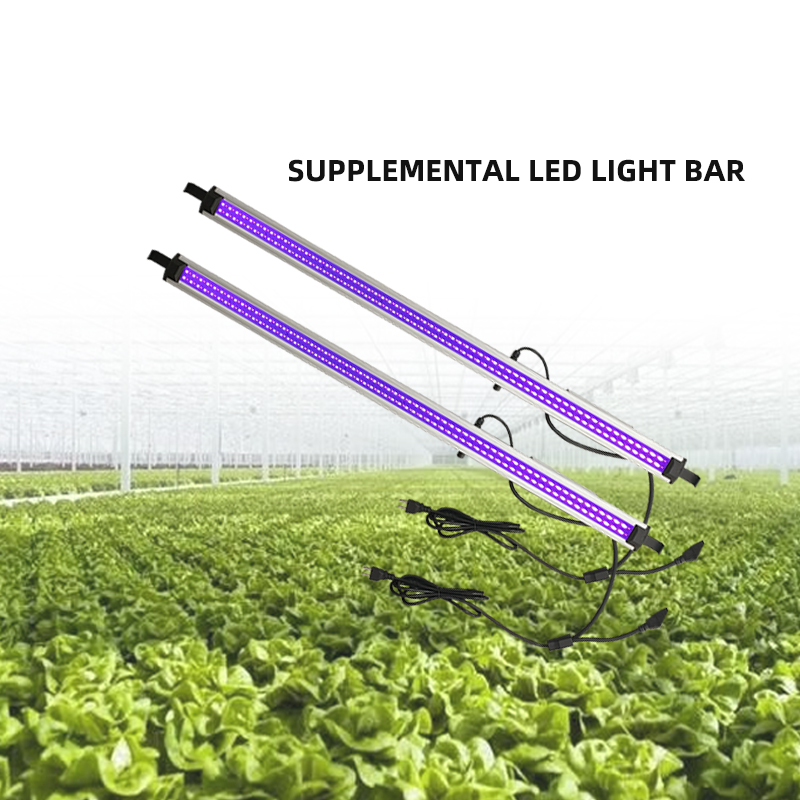 LED Light View