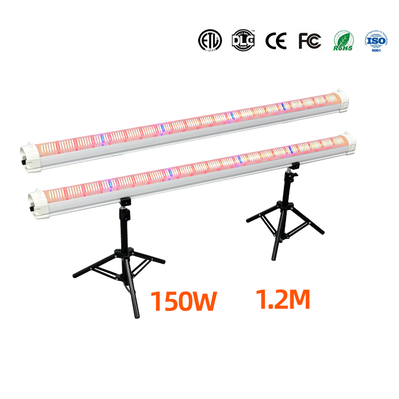 LED Light View