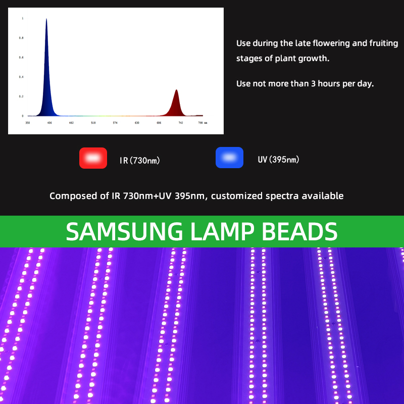 LED Light View